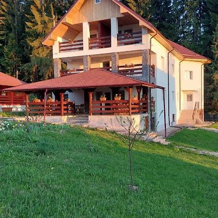 Pensiunea Madalina Дурау Экстерьер фото